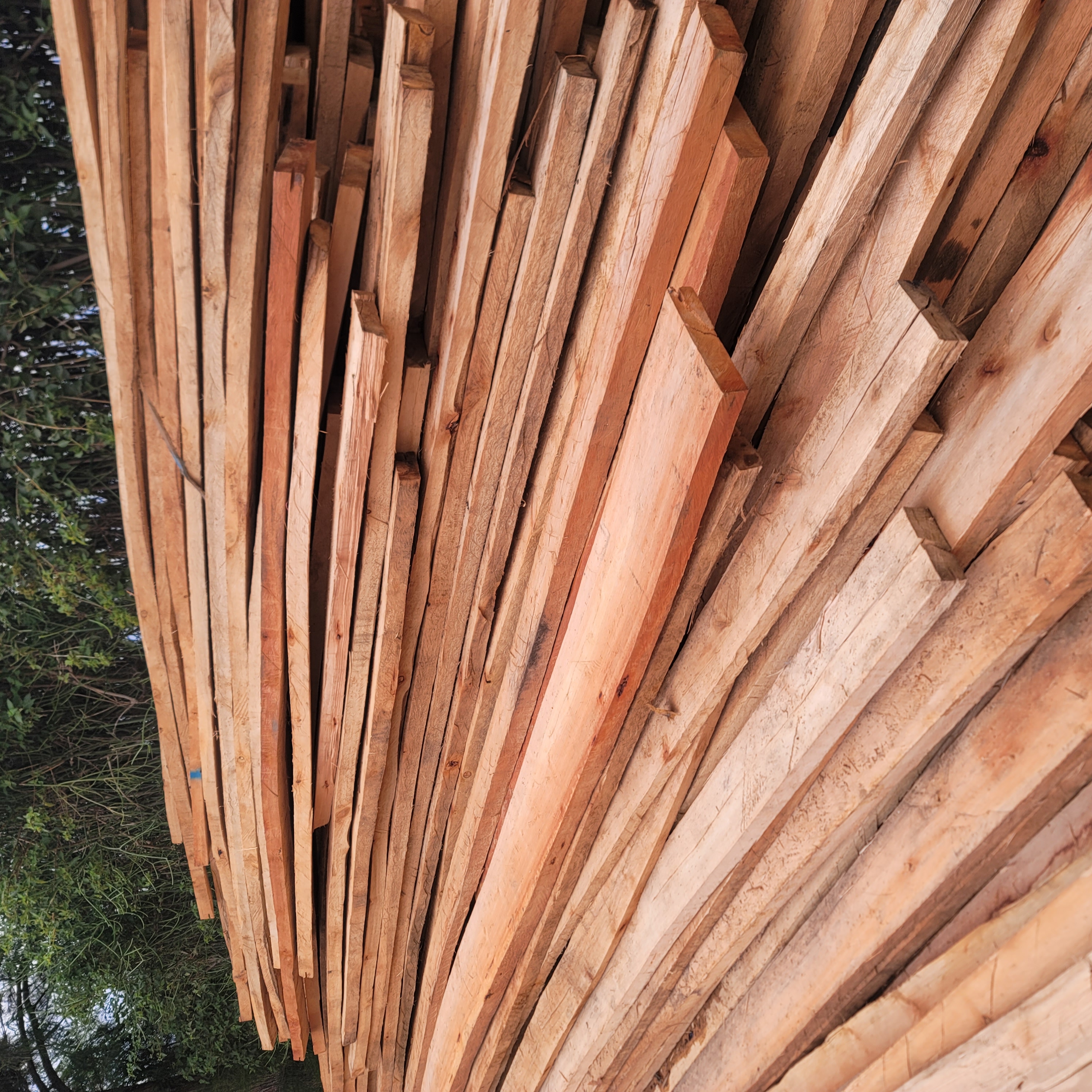 Bluegum Timber 1