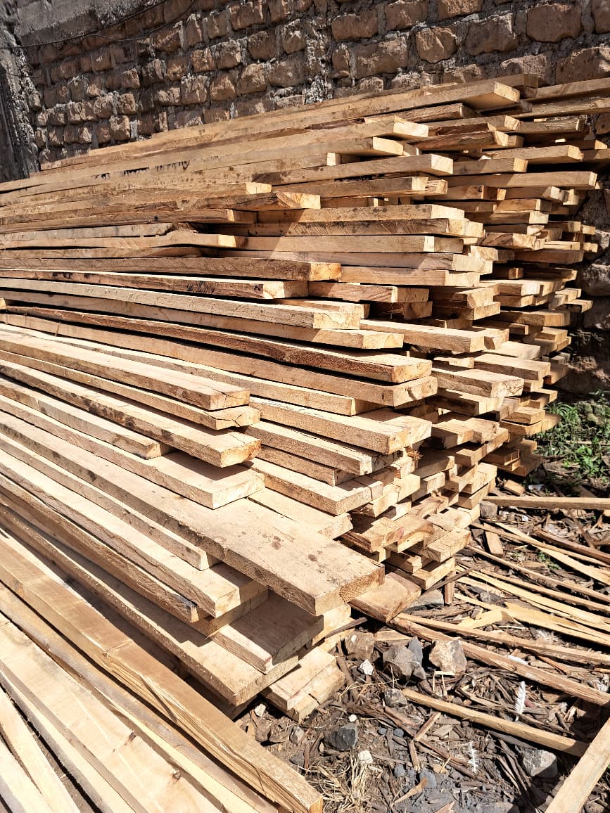 Bluegum Timber 3