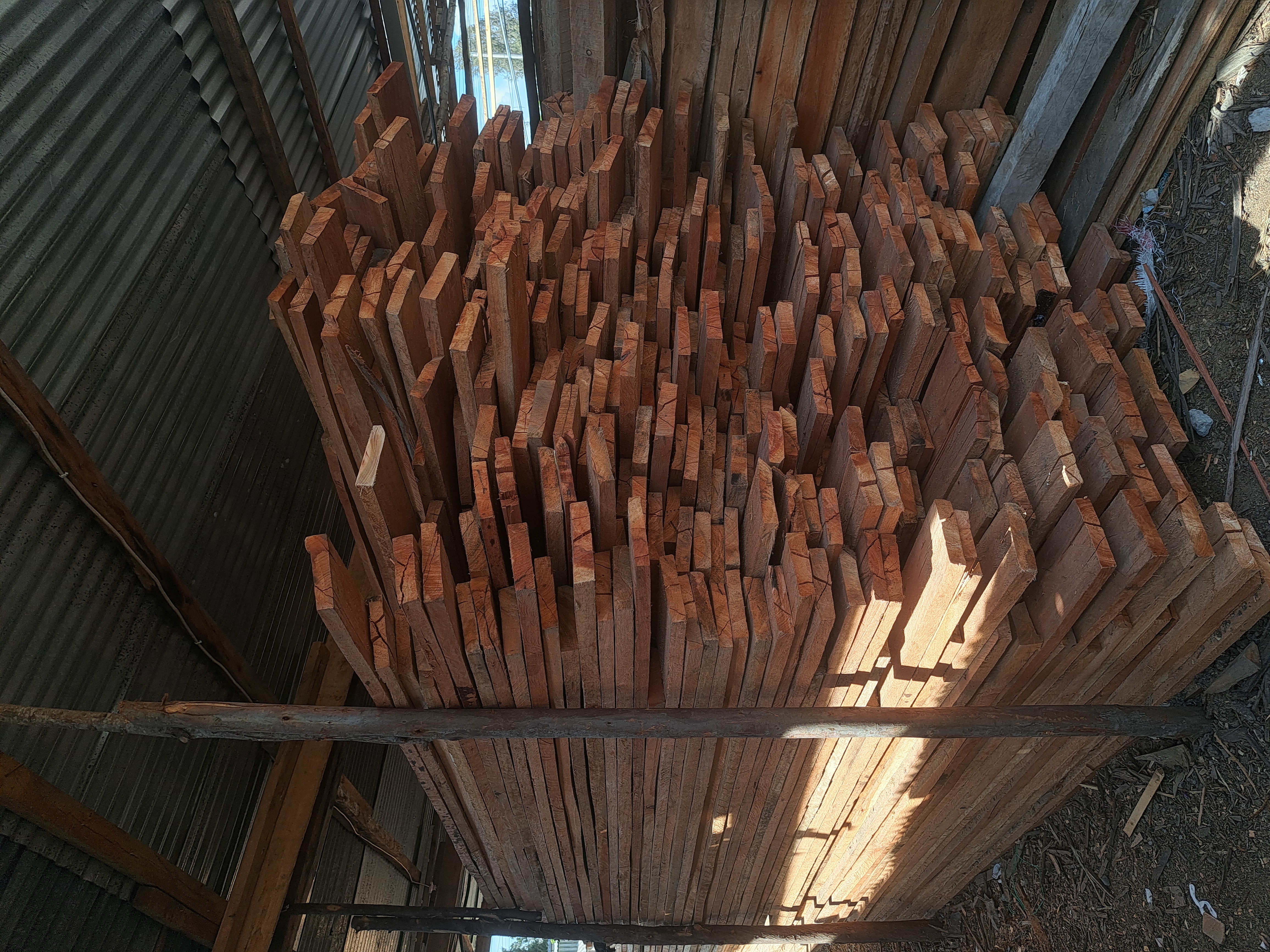 Bluegum Timber 5