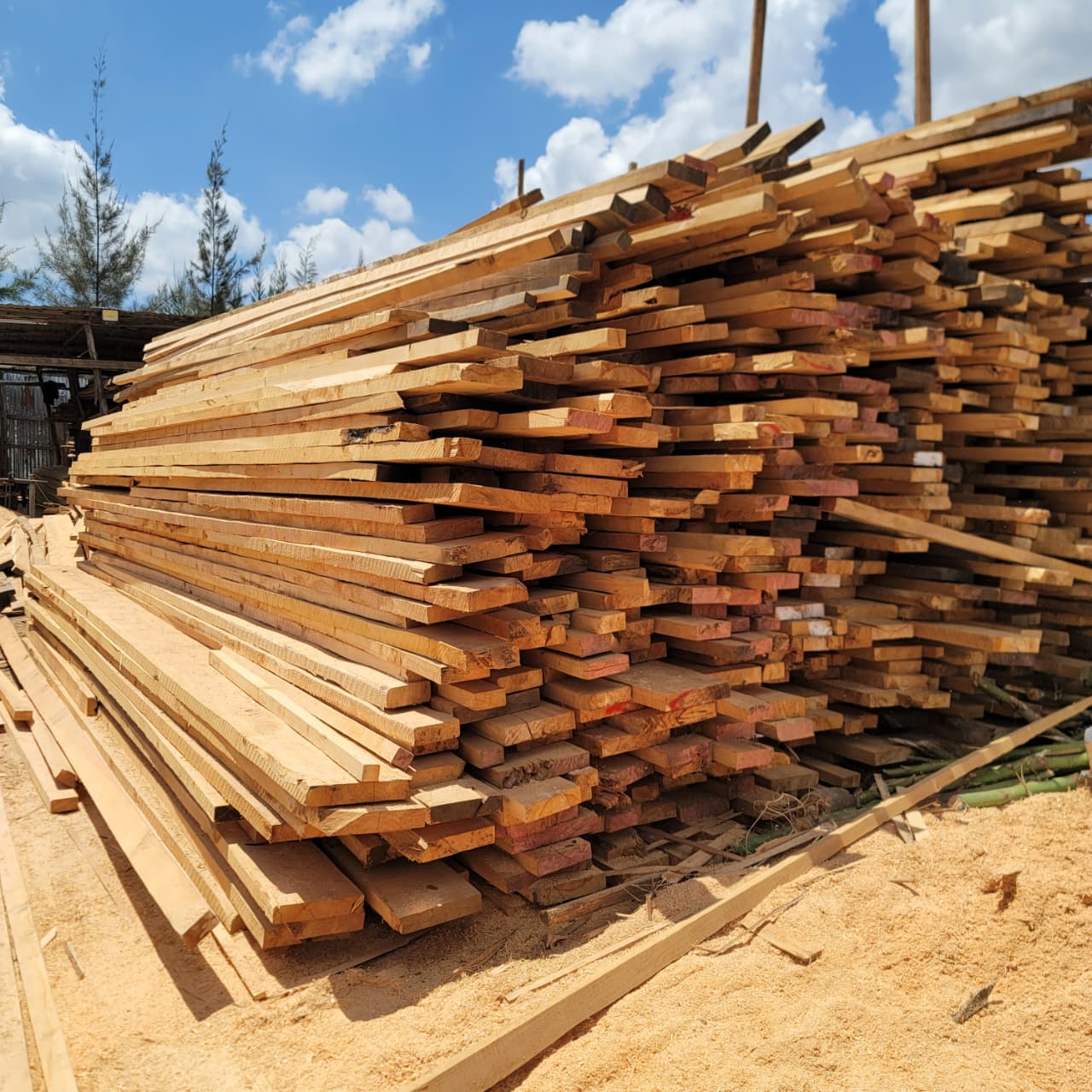 Cypress Timber