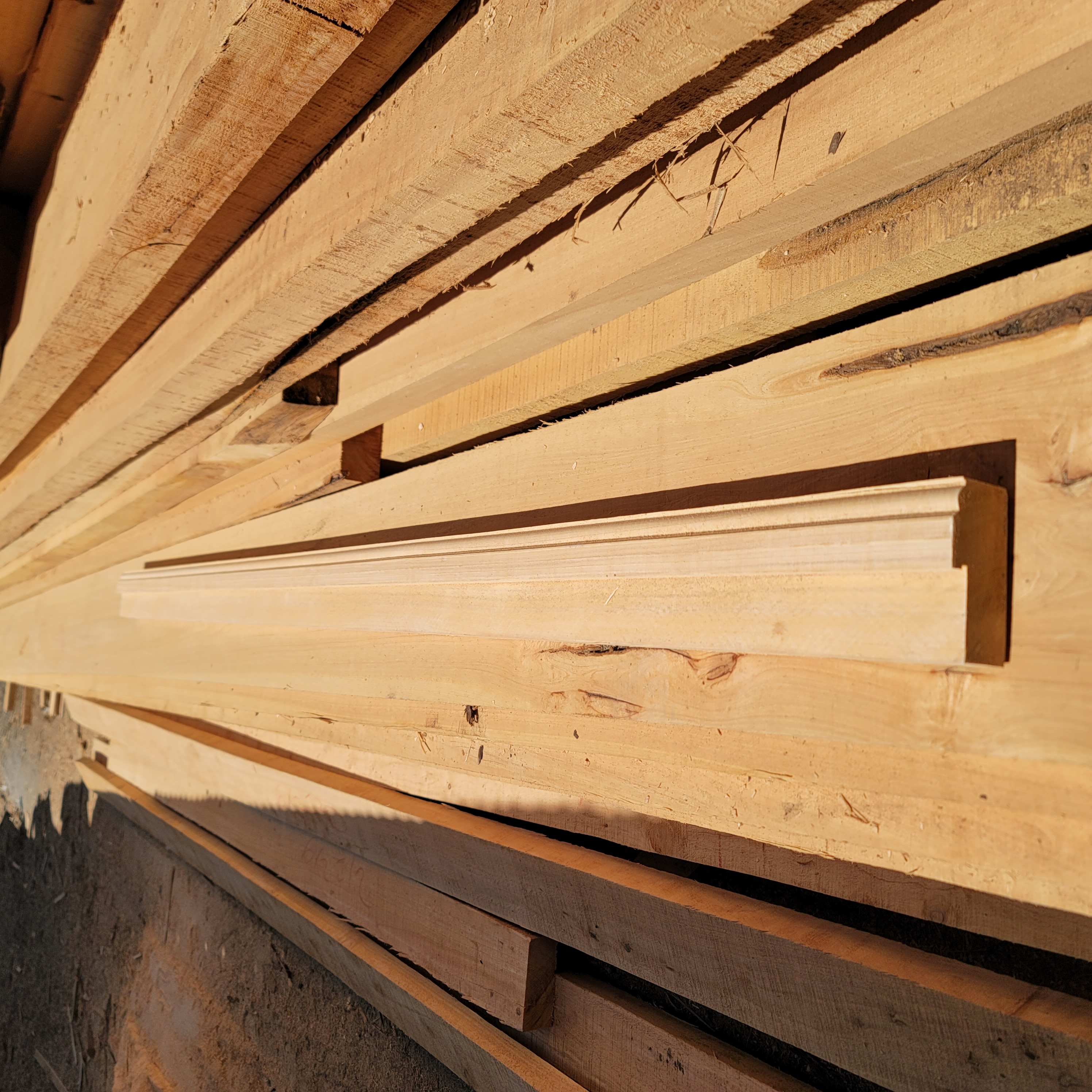 Cypress Timber 10