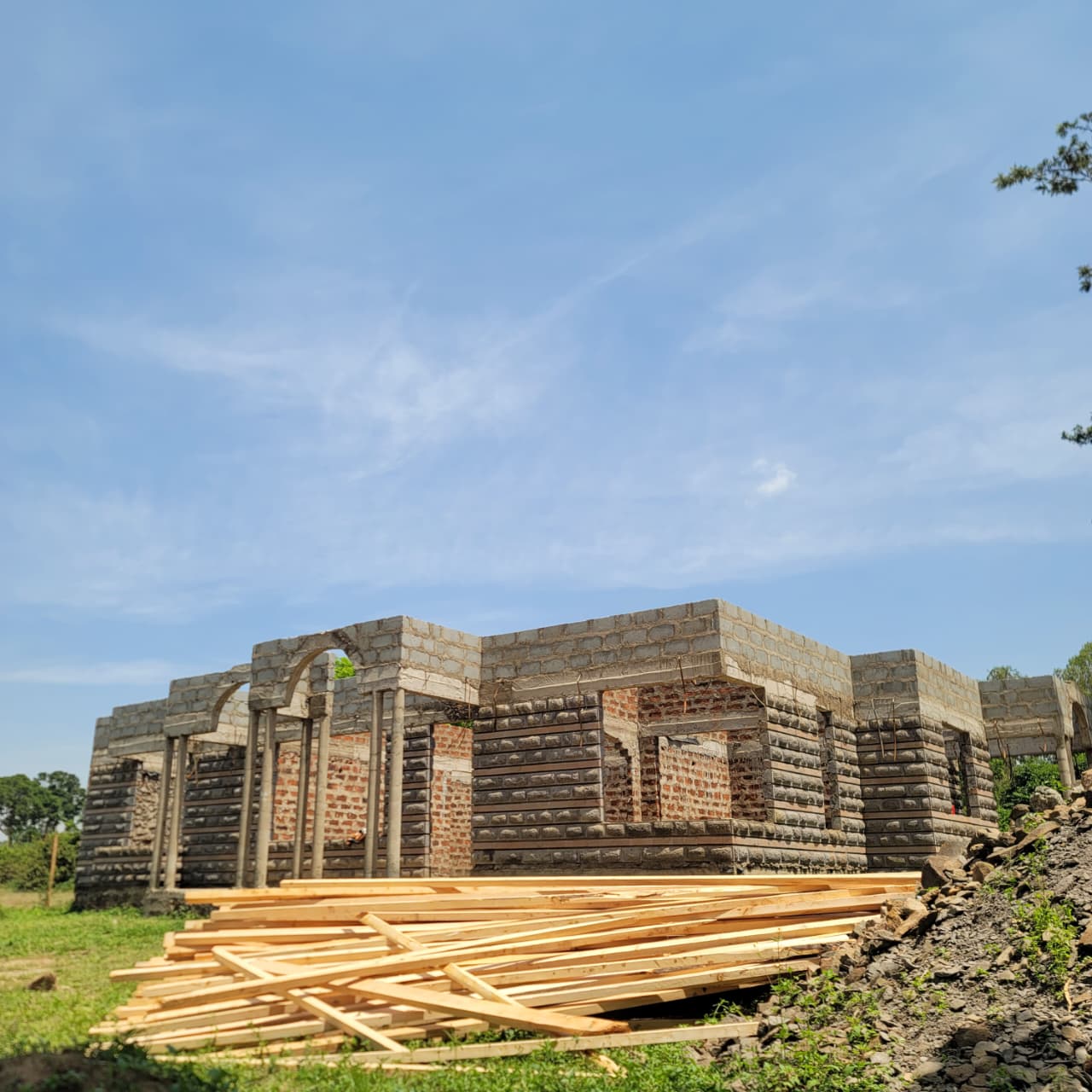 Cypress Timber 4