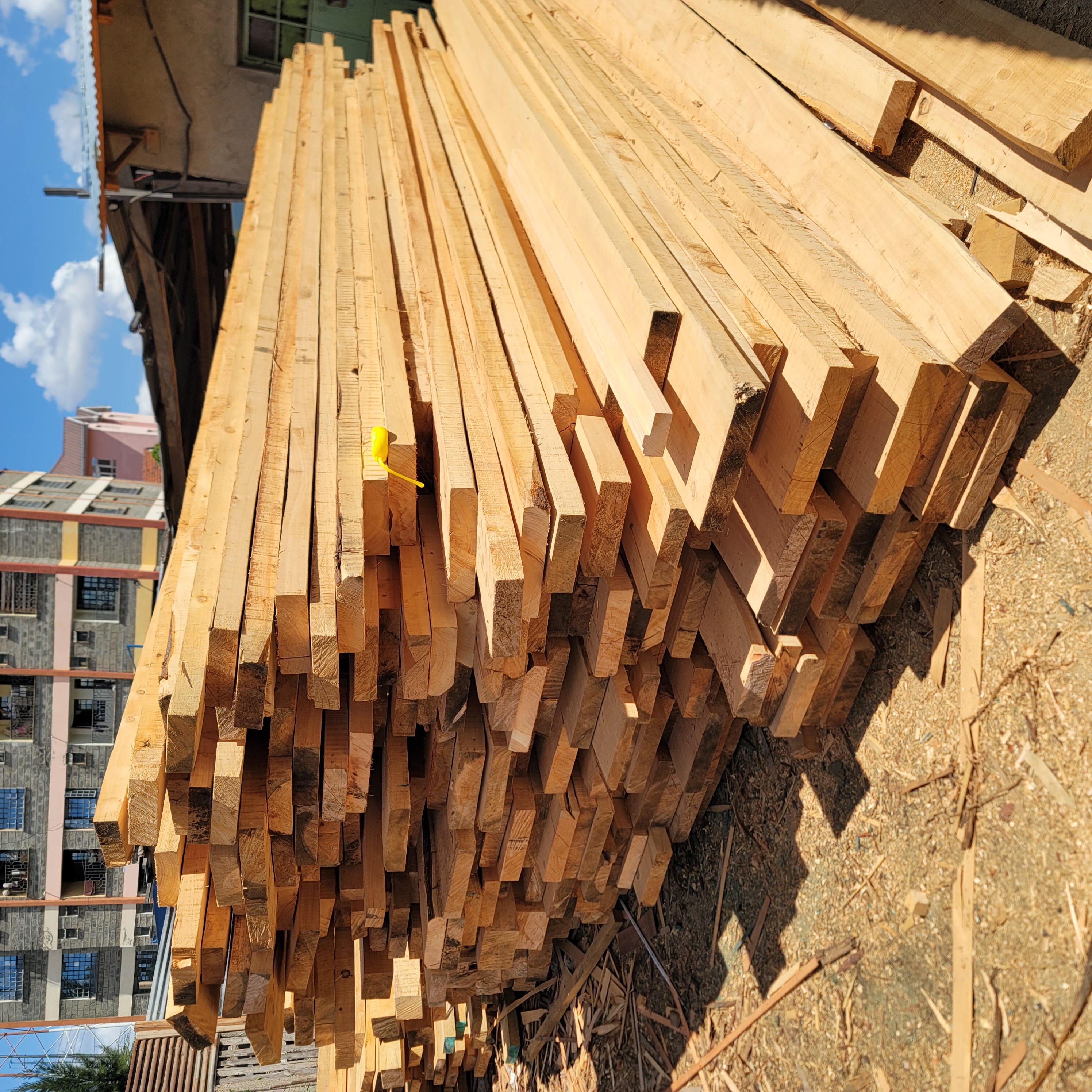 Cypress Timber 5