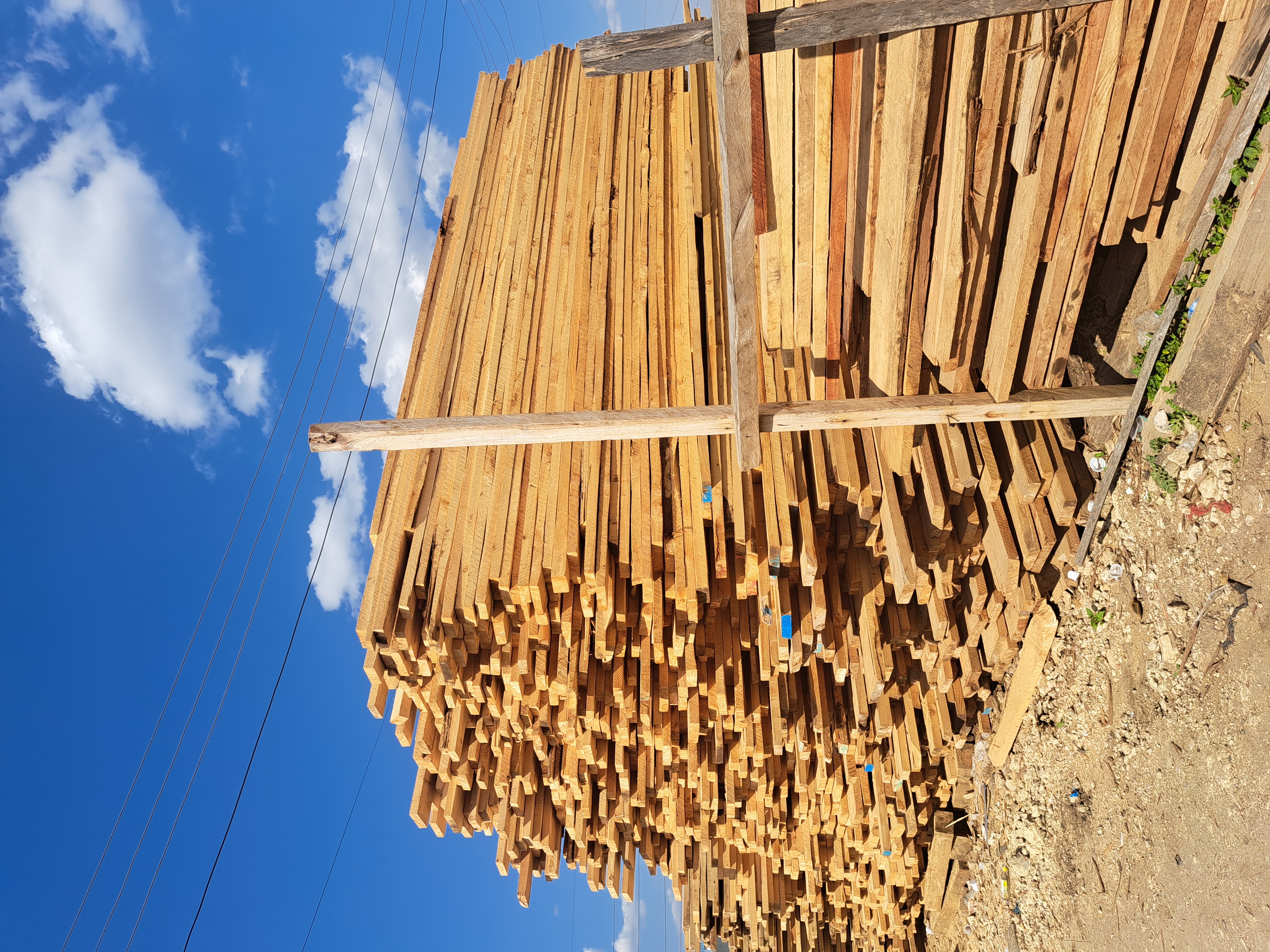 Cypress Timber 6