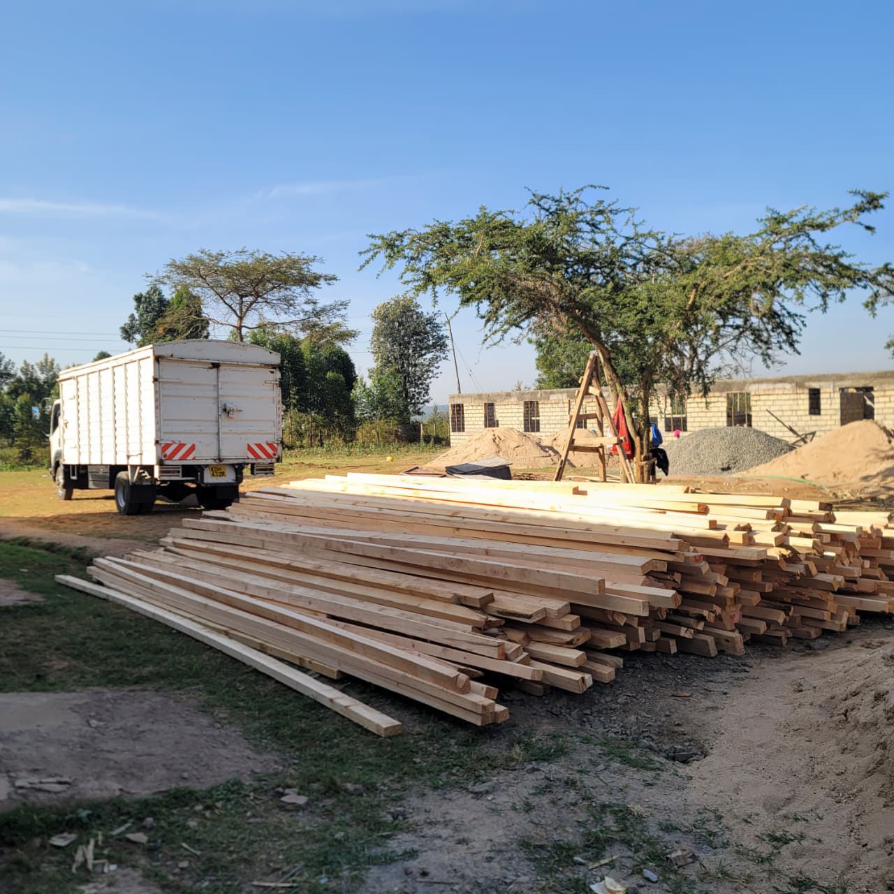 Cypress Timber 7