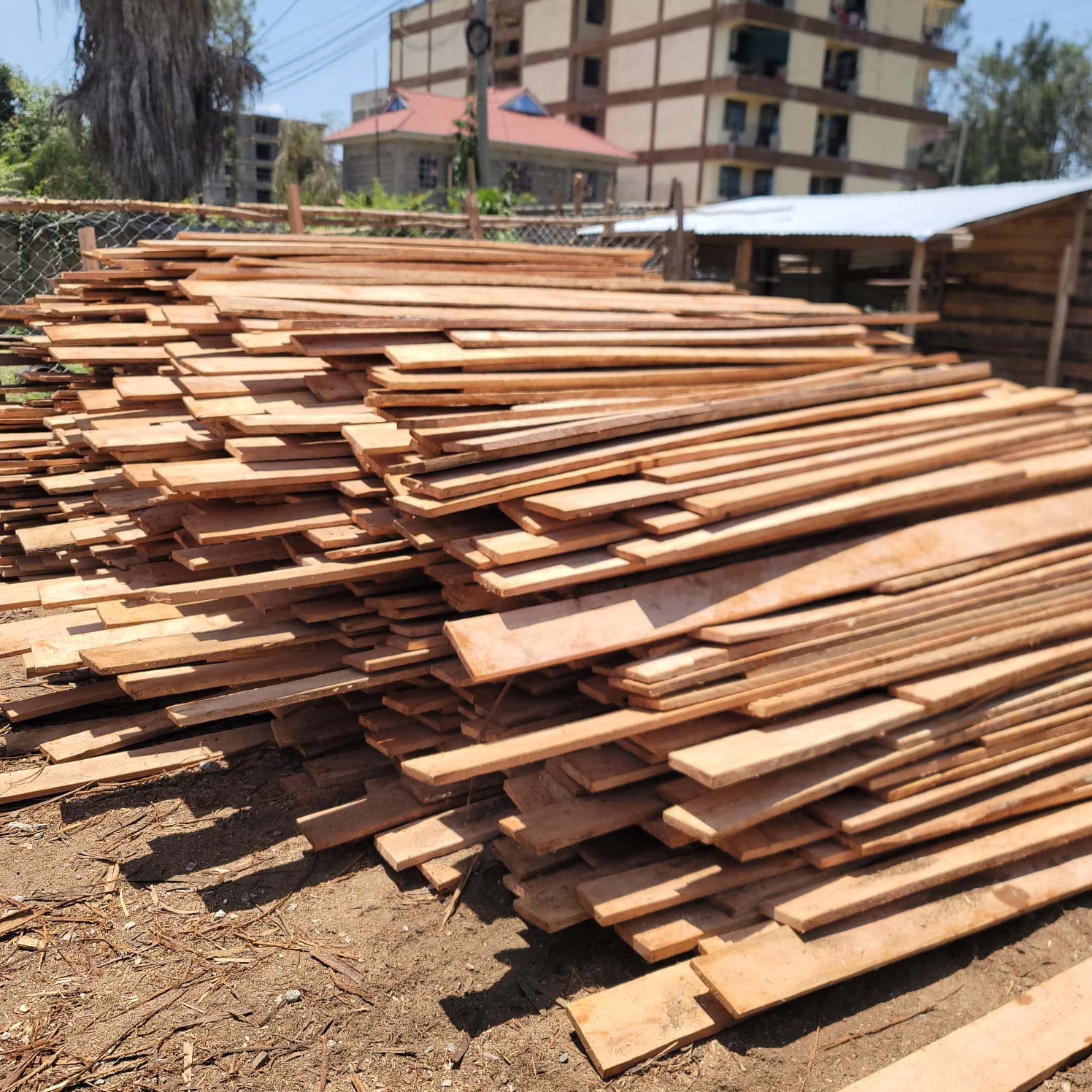 Gravellia Timber 2