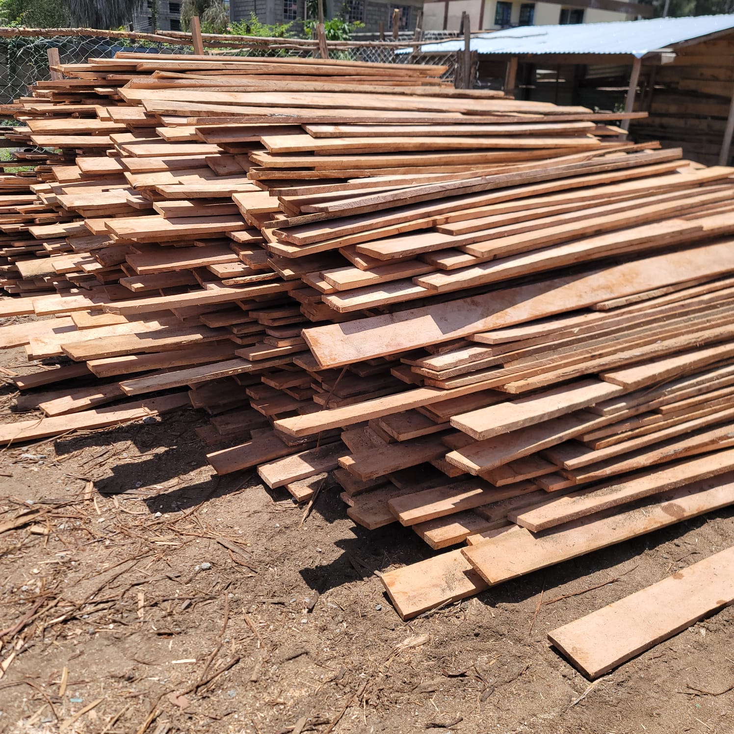 Gravellia Timber 3