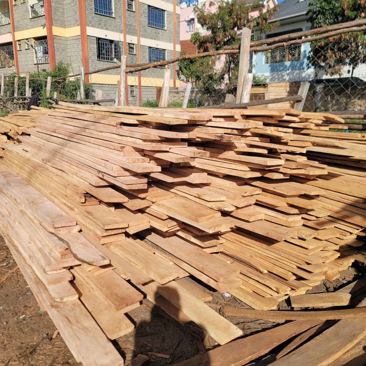 Gravellia Timber 4