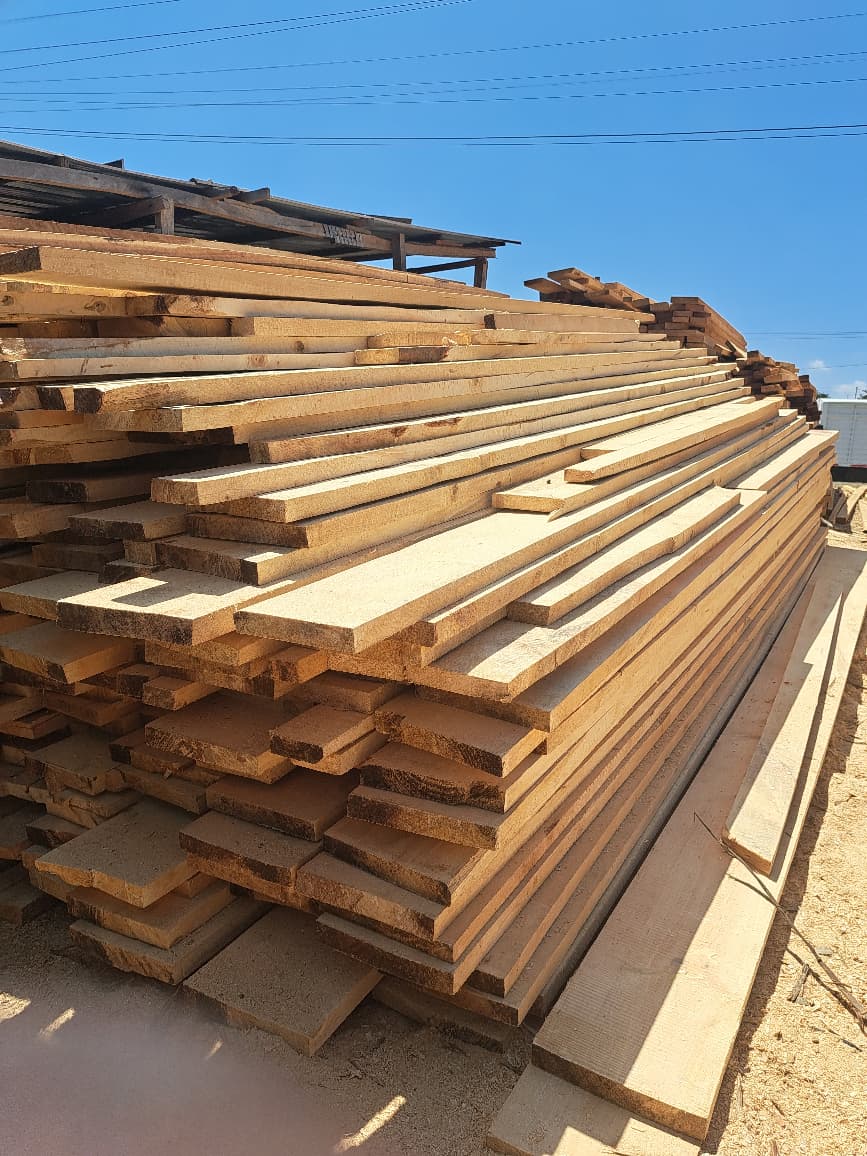 Pine 2