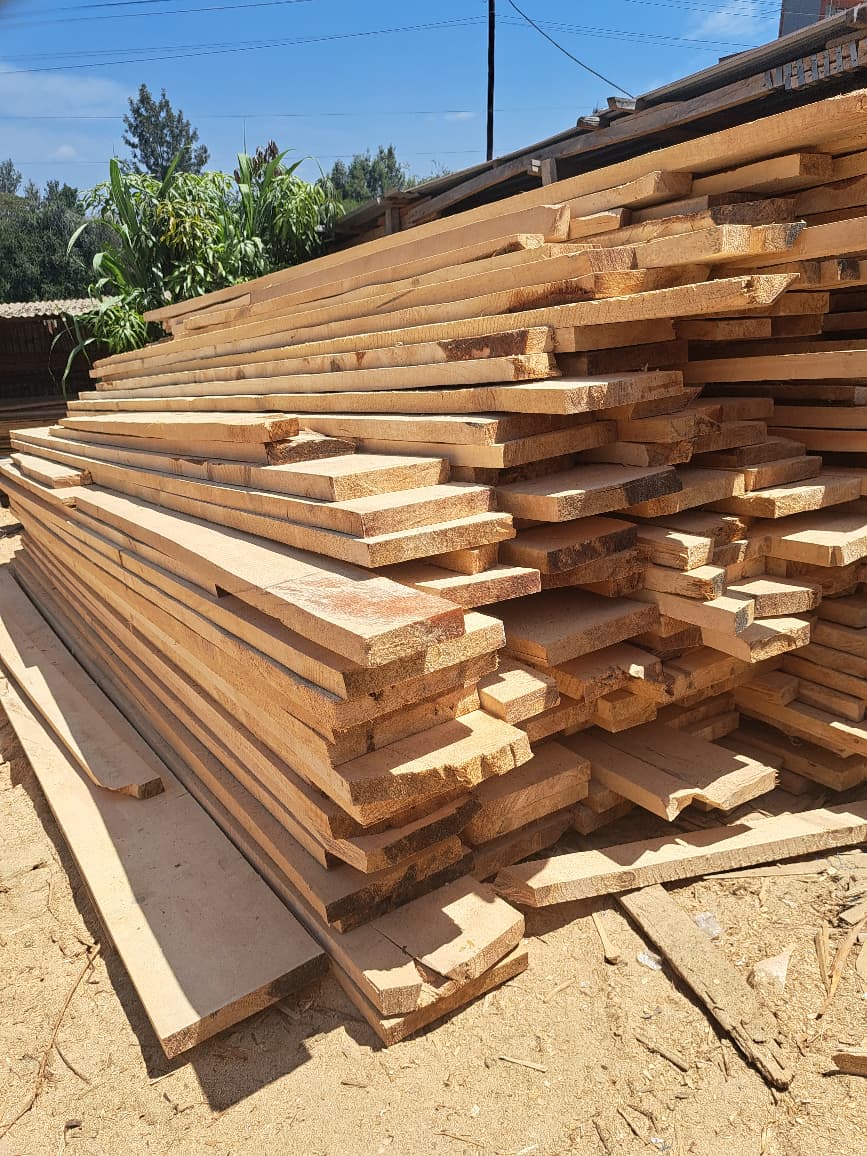 Pine 3