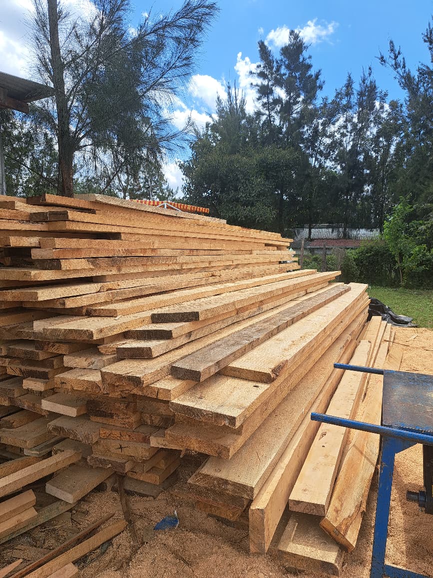 Pine 5