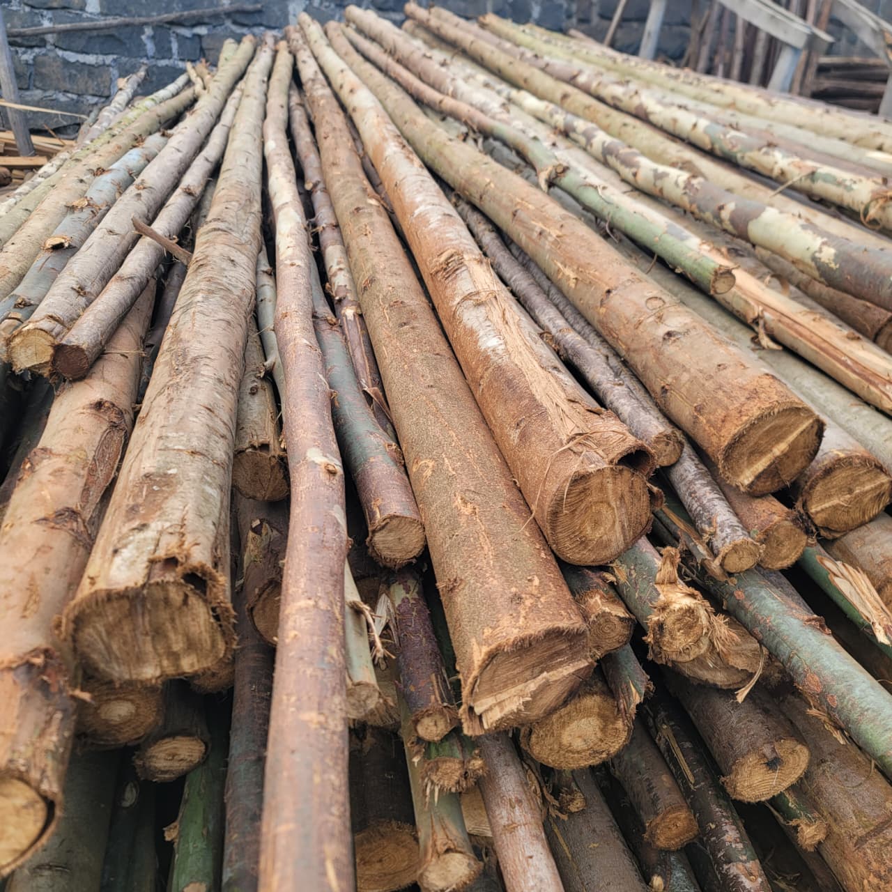 Round Poles 4
