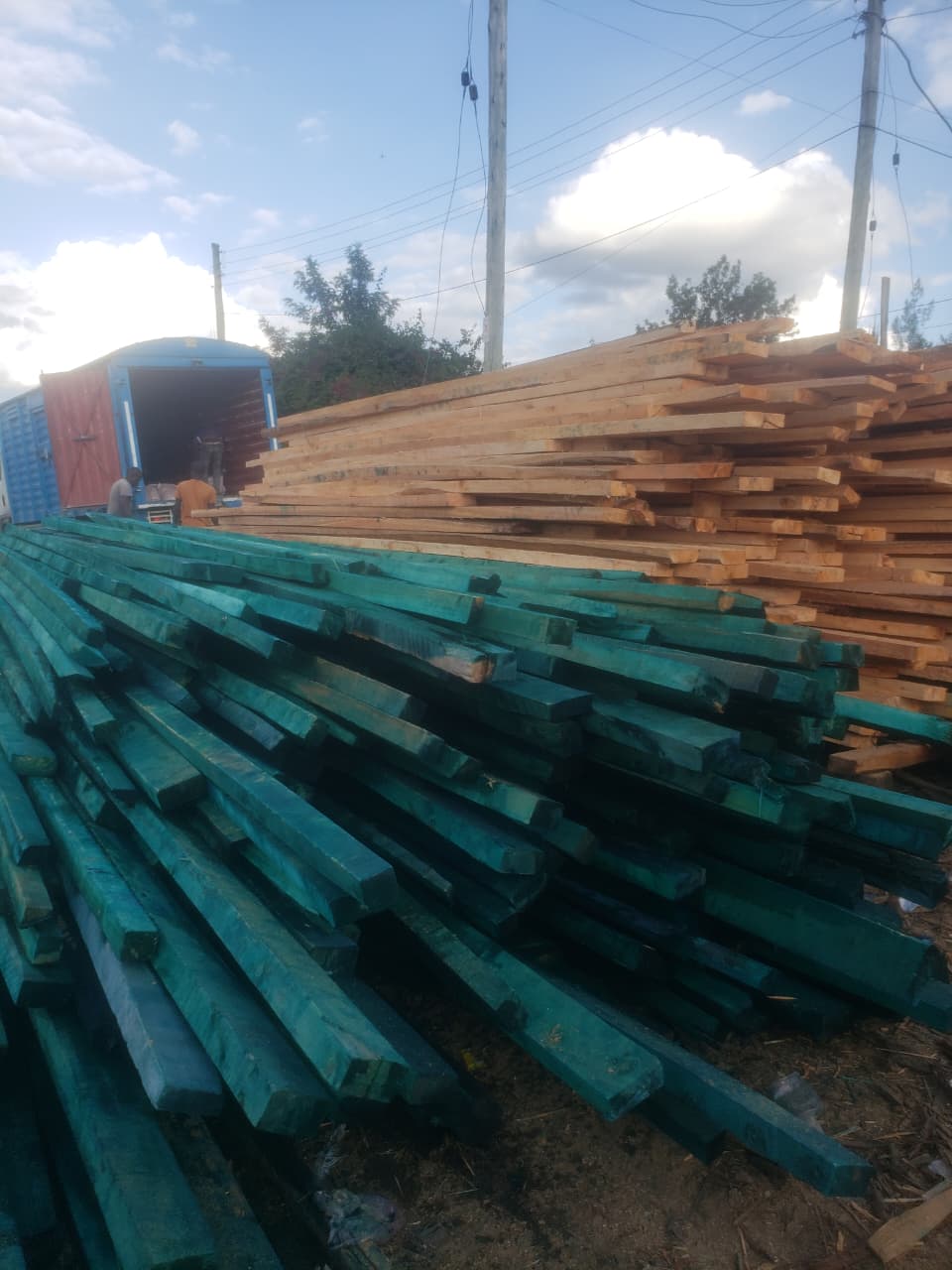 Treated Timber 4