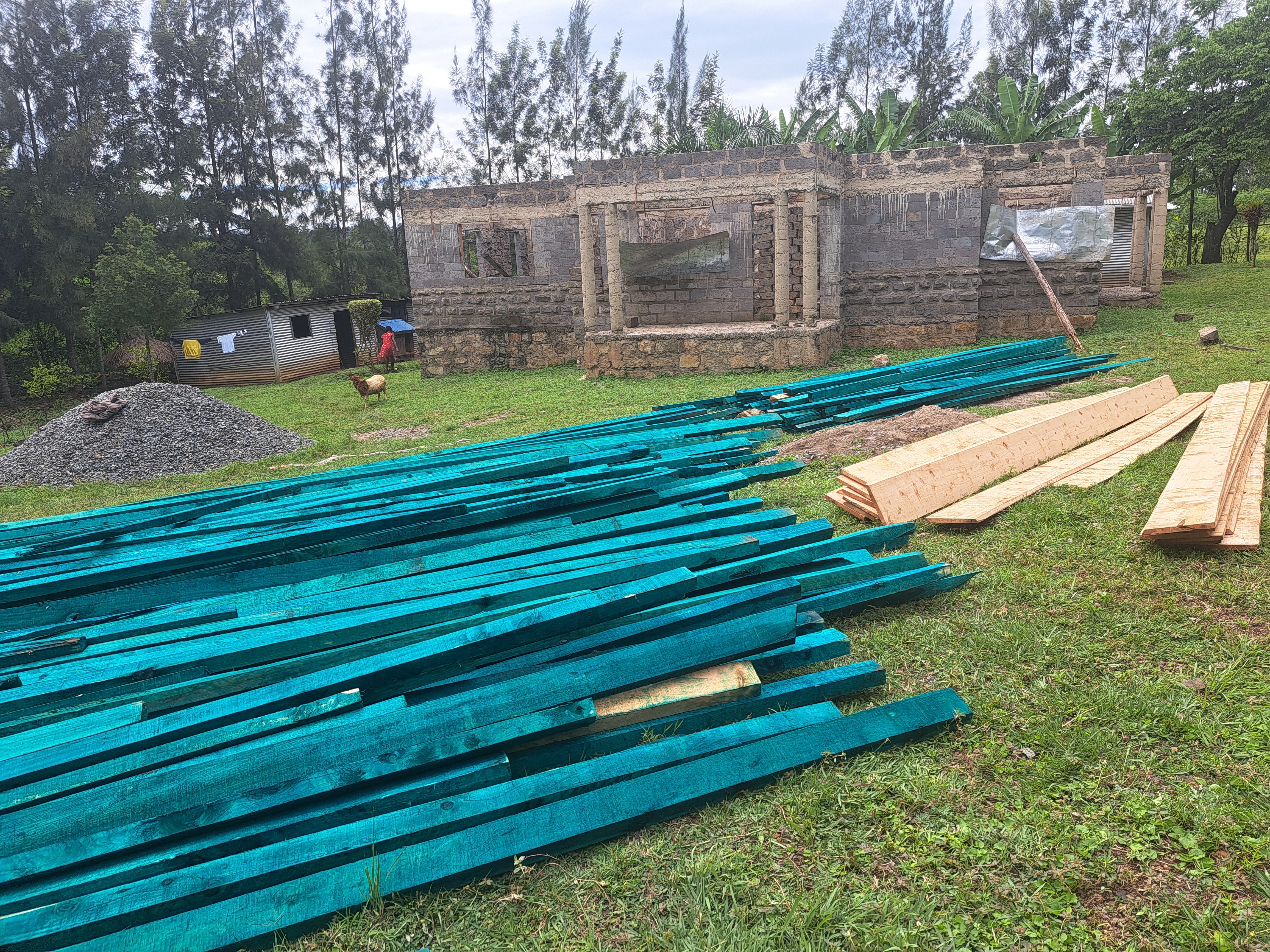 Treated Timber 5